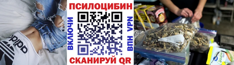 Псилоцибиновые грибы Cubensis  Купить где  Наволоки 